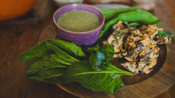 Wild Food and Wild Cooking on Anglesey