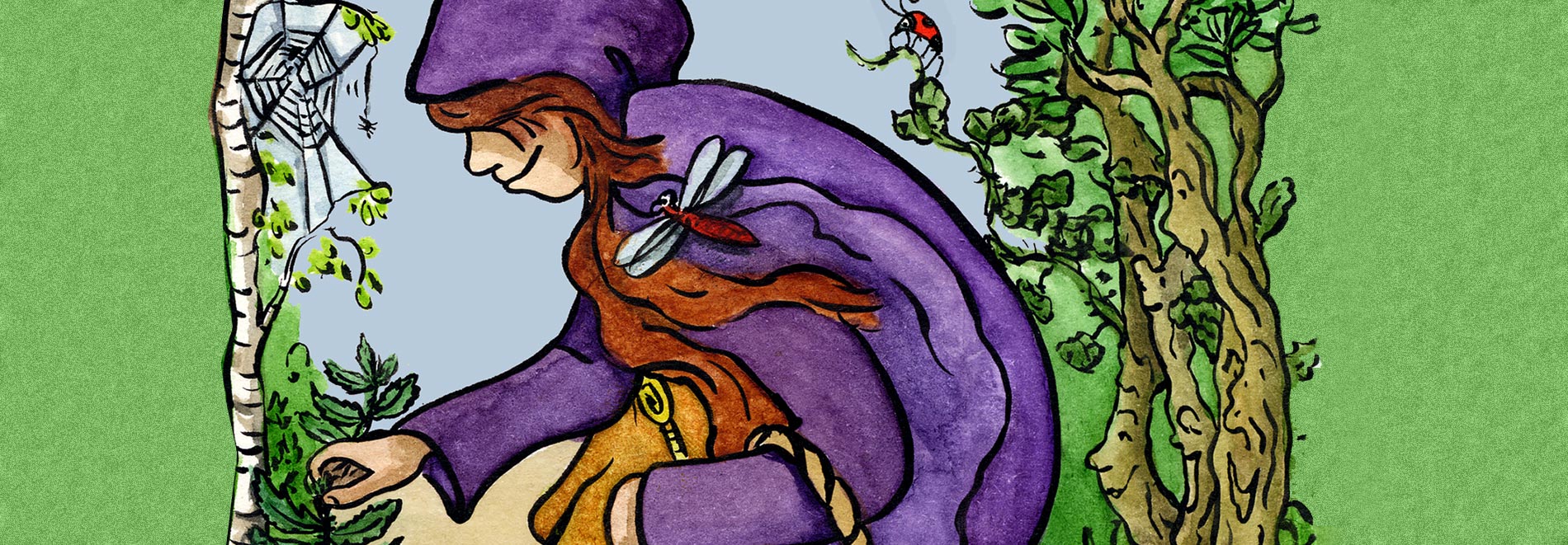 The Little Hedgewitch by Jules Cooper