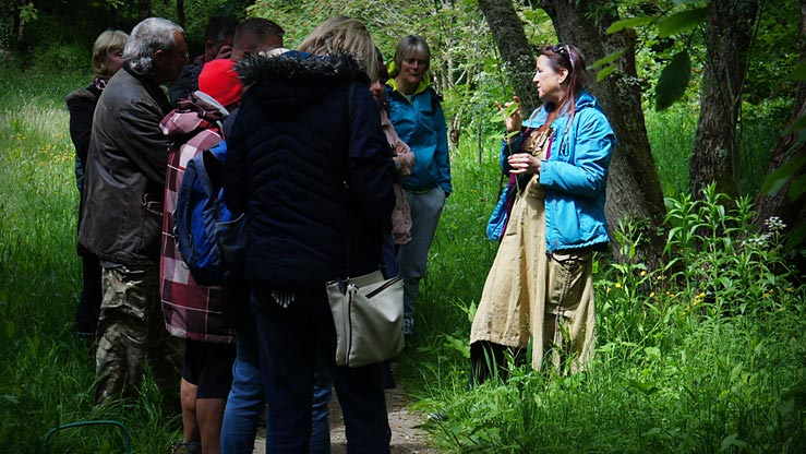 Wild Workshops