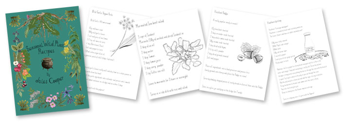 Seasonal Foraging Book