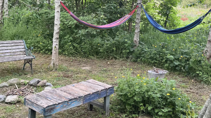 Anglesey Wild Camp